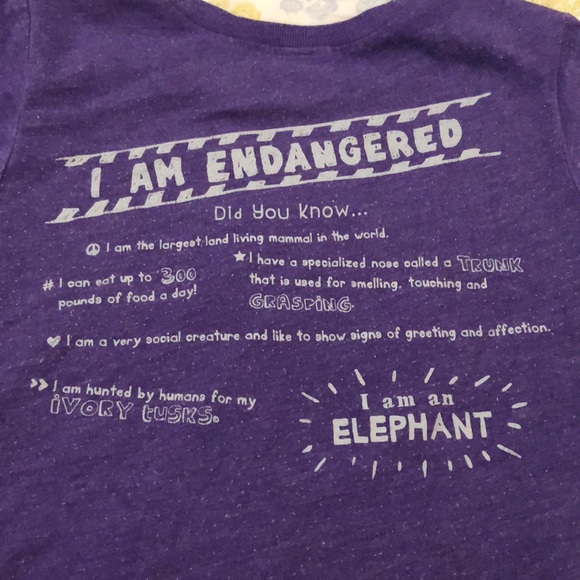 Kids Peek-a-zoo Elephant Tee - Picture 3 of 4